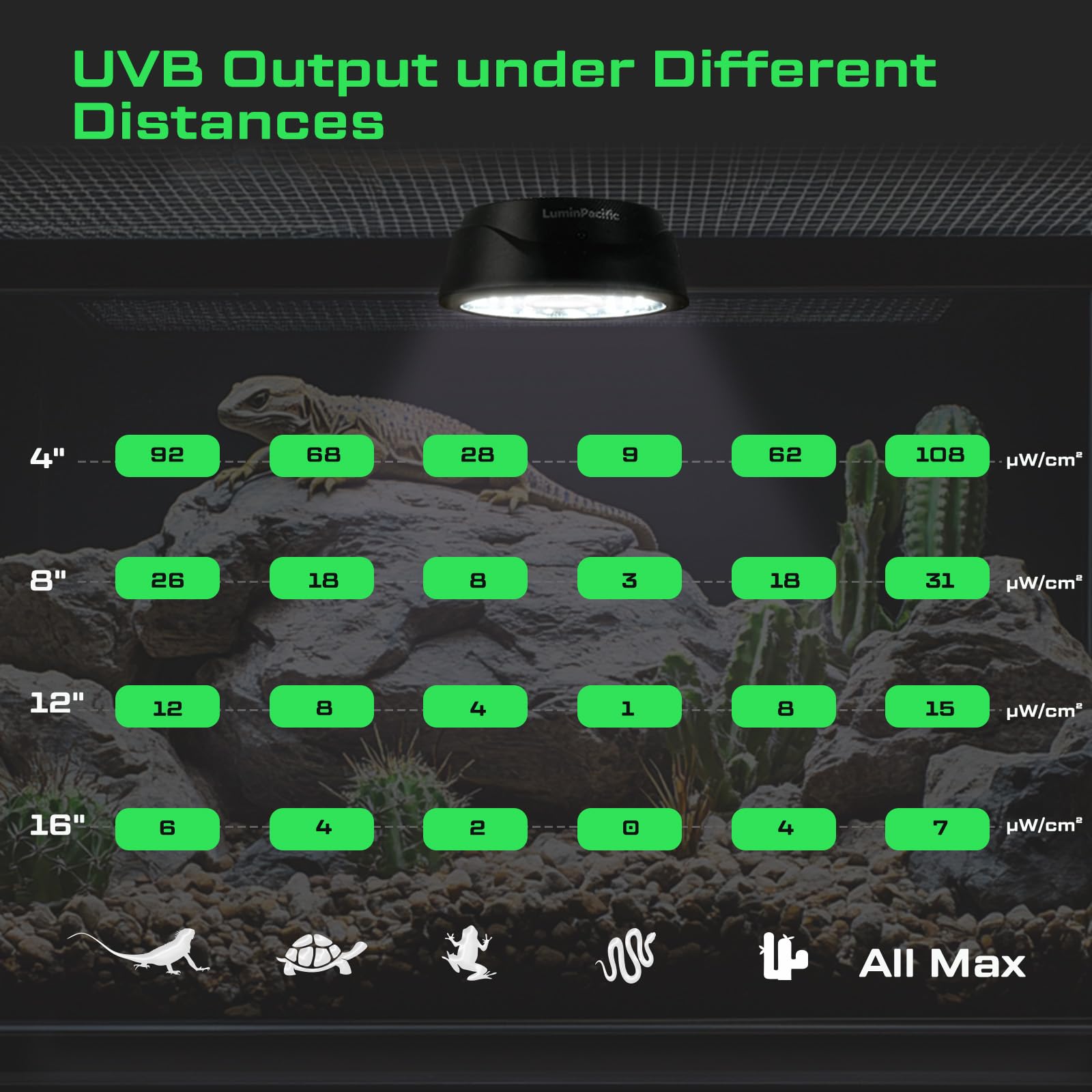 LuminPacific UVB reptile light in bearded dragon habitat