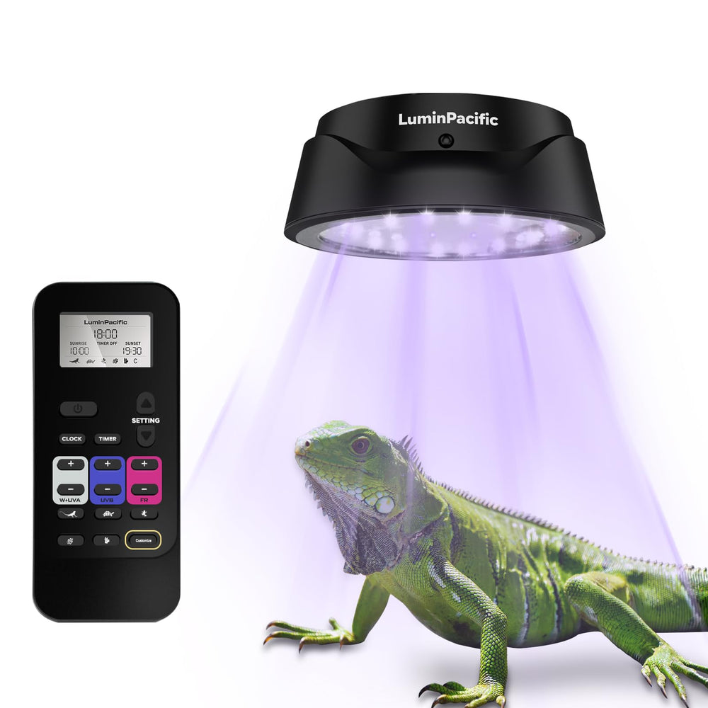 LuminPacific UVB reptile light with remote front view showing remote control
