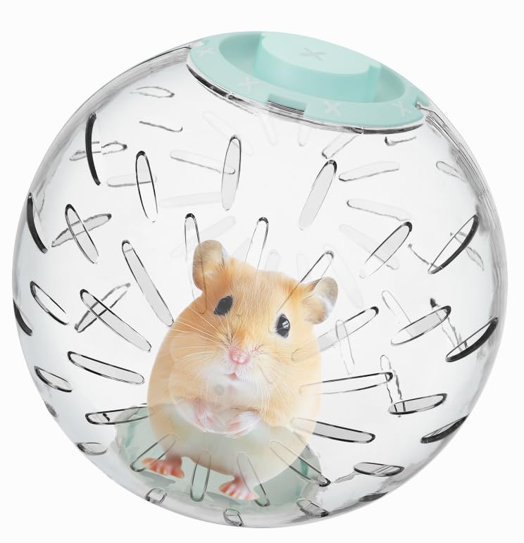 LummiPlay hamster ball clear 5-9 inch diameter for safe, visible exercise.