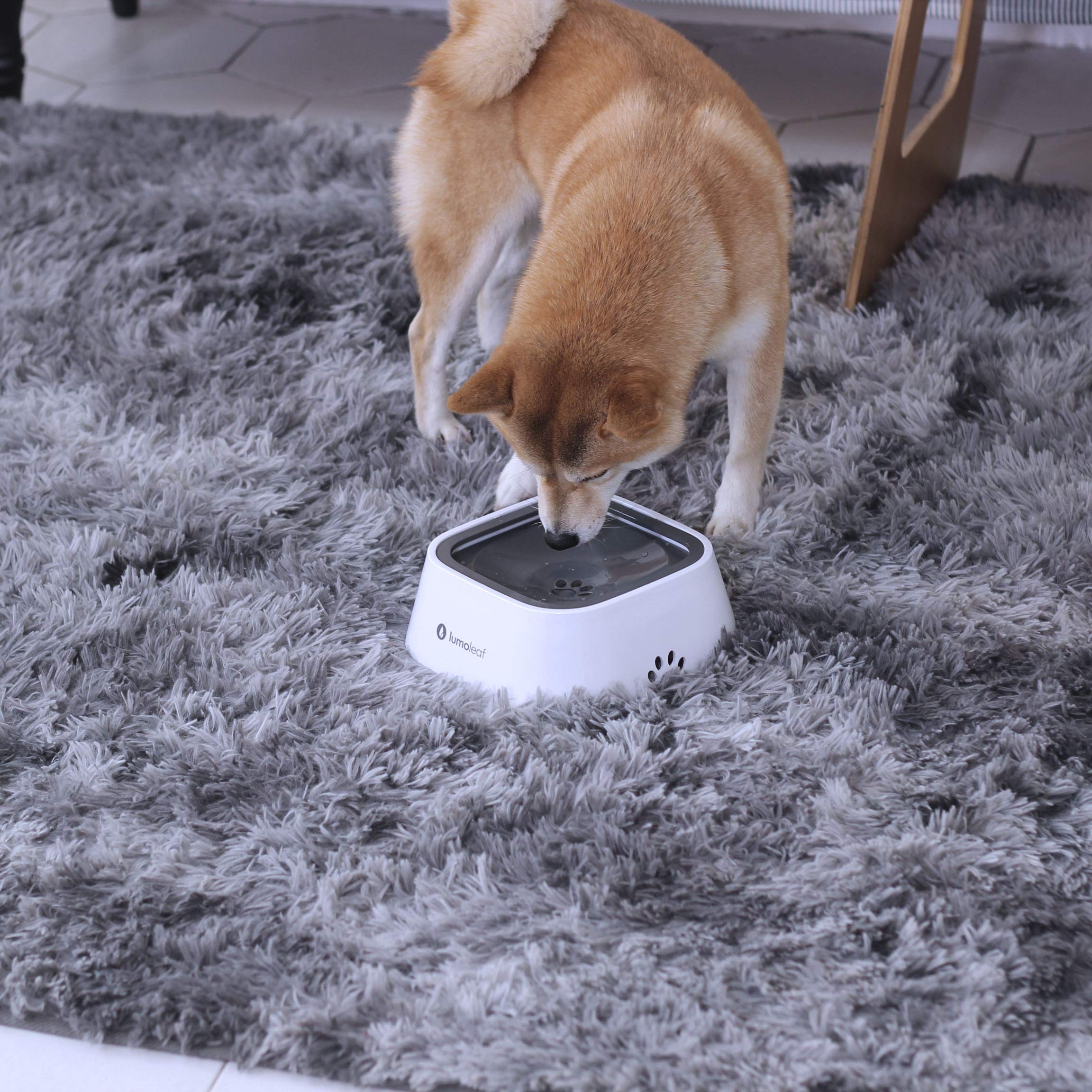 Easy to clean; disassembles for quick washing and top-rack dishwasher safe.