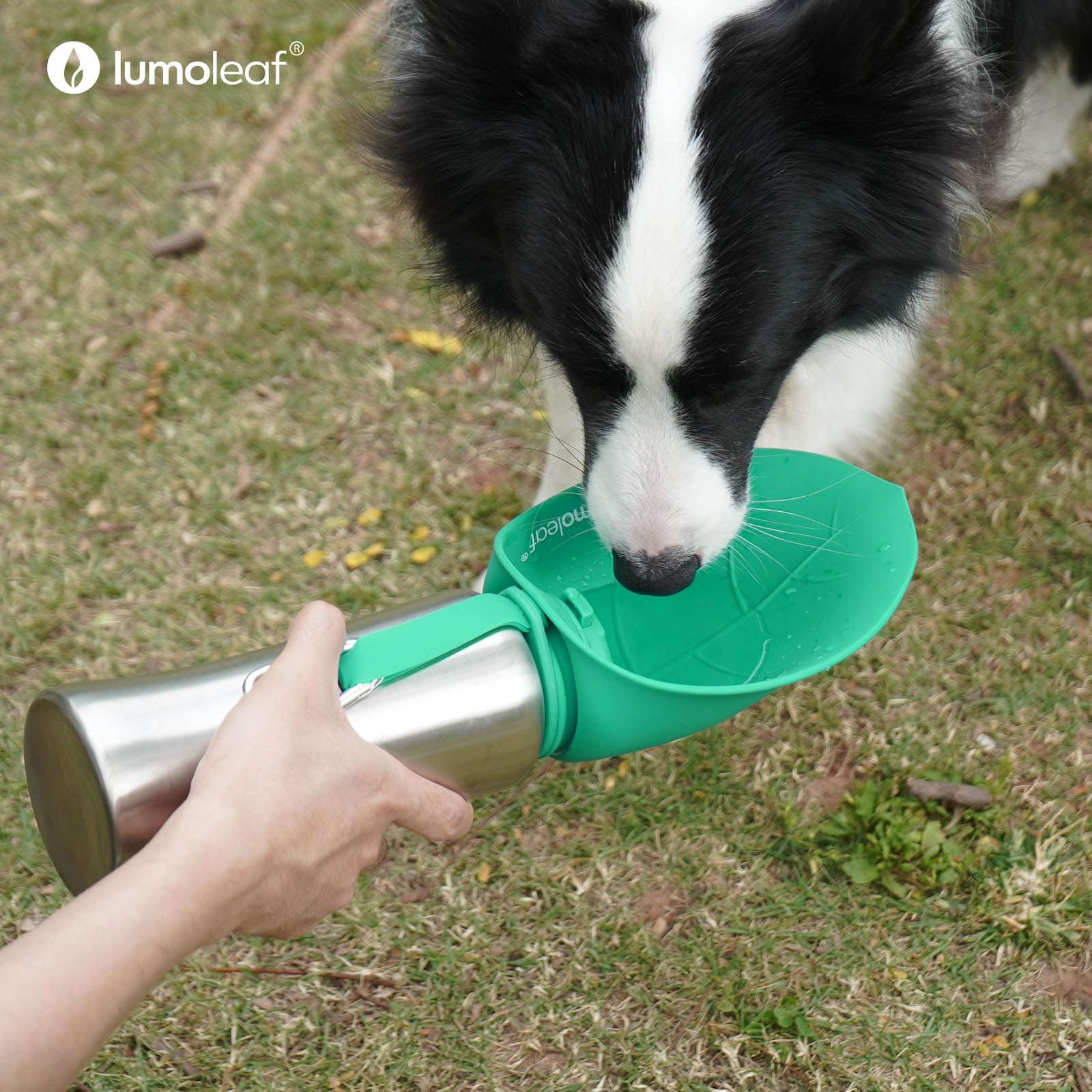 LumoLeaf easy-clean design helps quick rinsing after hikes.
