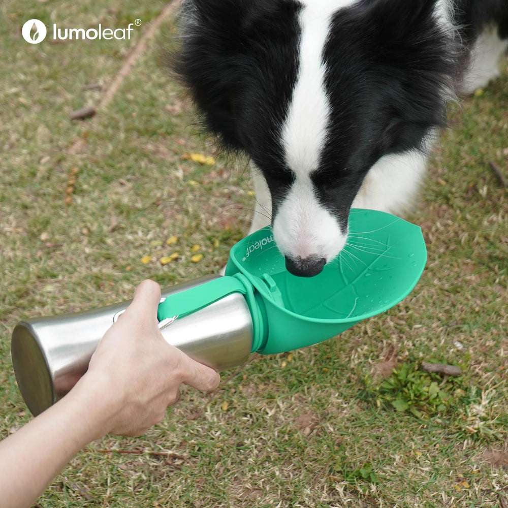 LumoLeaf easy-clean design helps quick rinsing after hikes.