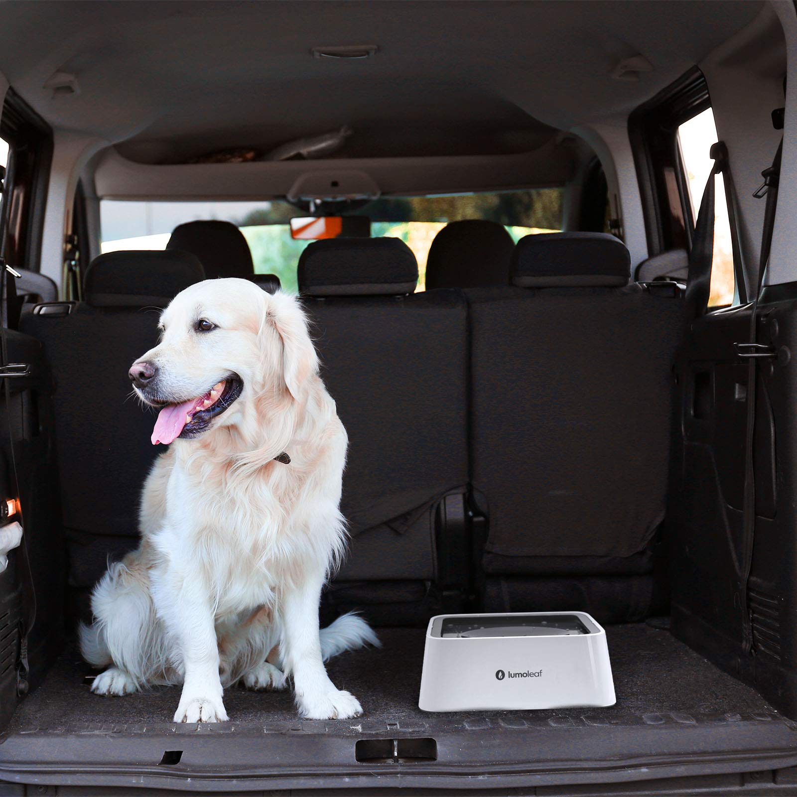 LumoLeaf easy-clean sealed disk reduces odor buildup.