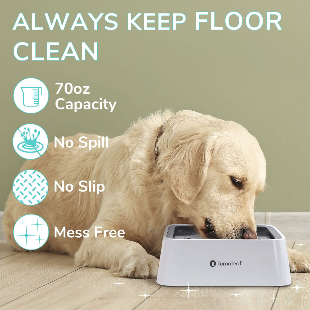 LumoLeaf floating disk design allows easy sipping without spills.
