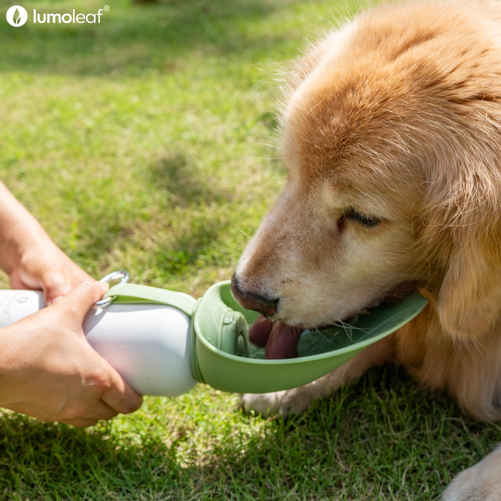LumoLeaf durable stainless steel for rugged outdoor use
