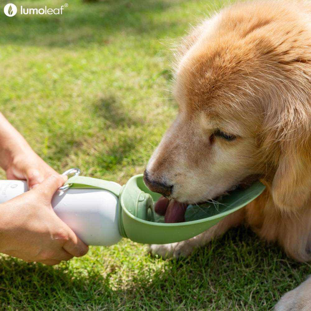 LumoLeaf durable stainless steel for rugged outdoor use
