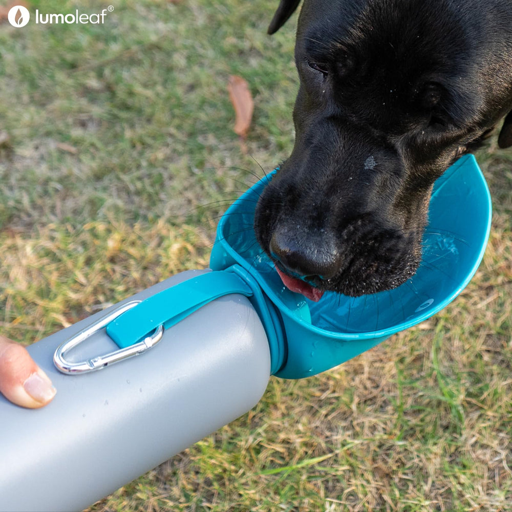 LumoLeaf leak-proof cap prevents spills during travel.