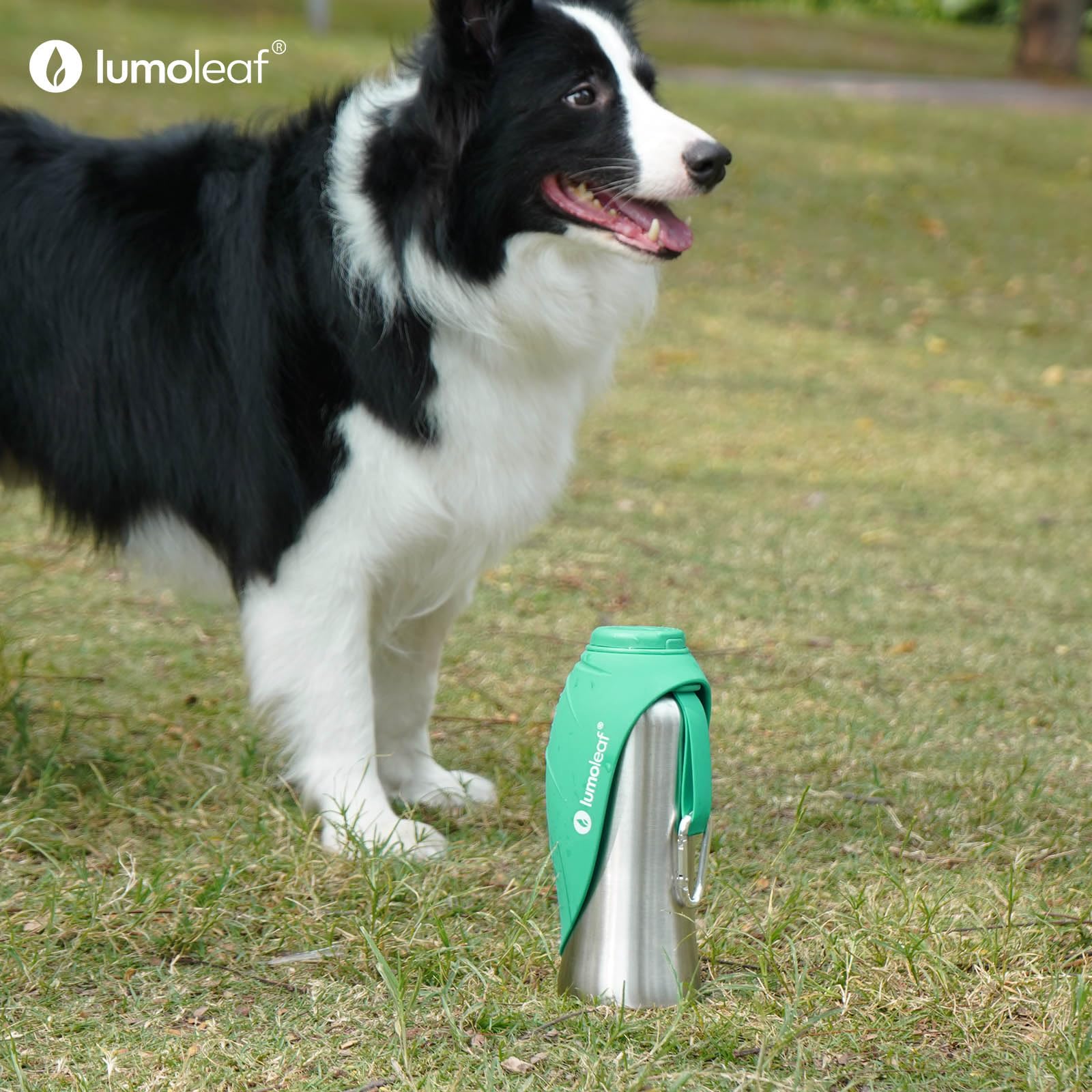 LumoLeaf on-the-go hydration solution for large dogs during road trips.