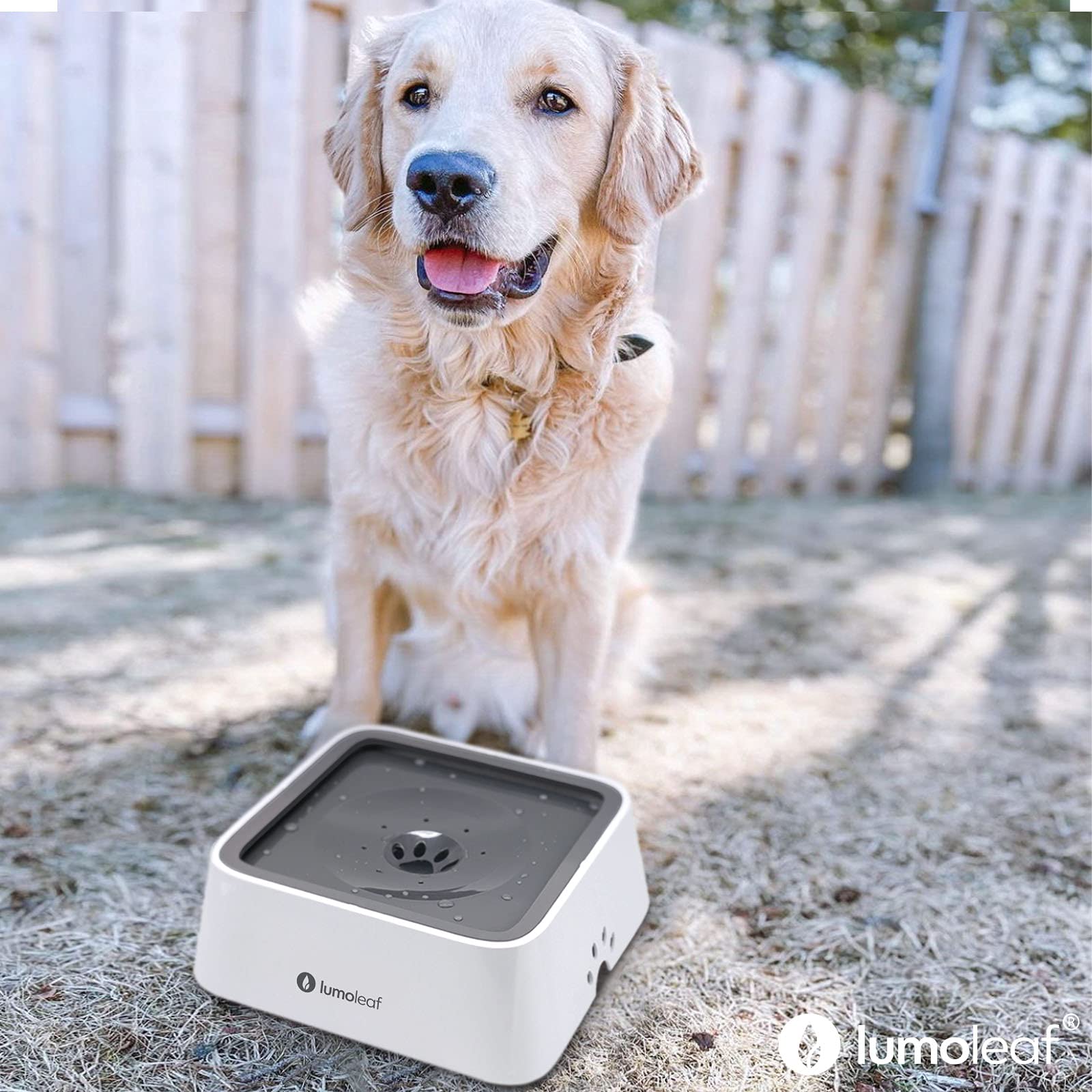 LumoLeaf replaceable filter keeps water fresh between cleanings.