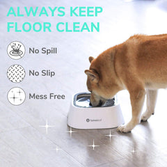 LumoLeaf floating disk design slows drinking and reduces gulping.