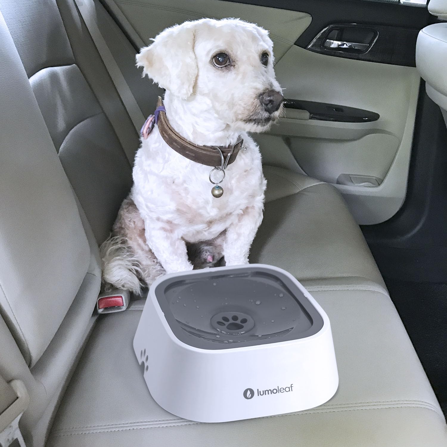 Travel-friendly 35oz capacity suits home use and on-the-go feeding.