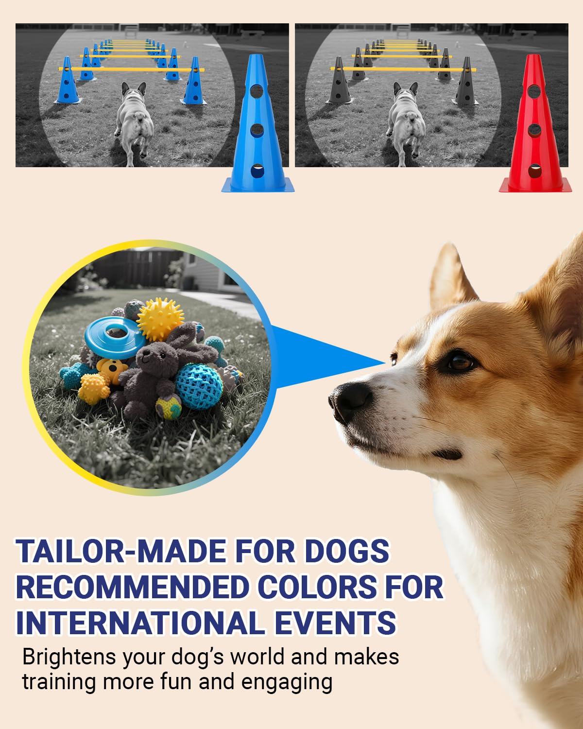 Lupar backyard training setup shown indoors or outdoors for agility play