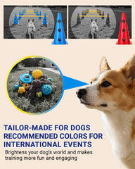 Lupar backyard training setup shown indoors or outdoors for agility play