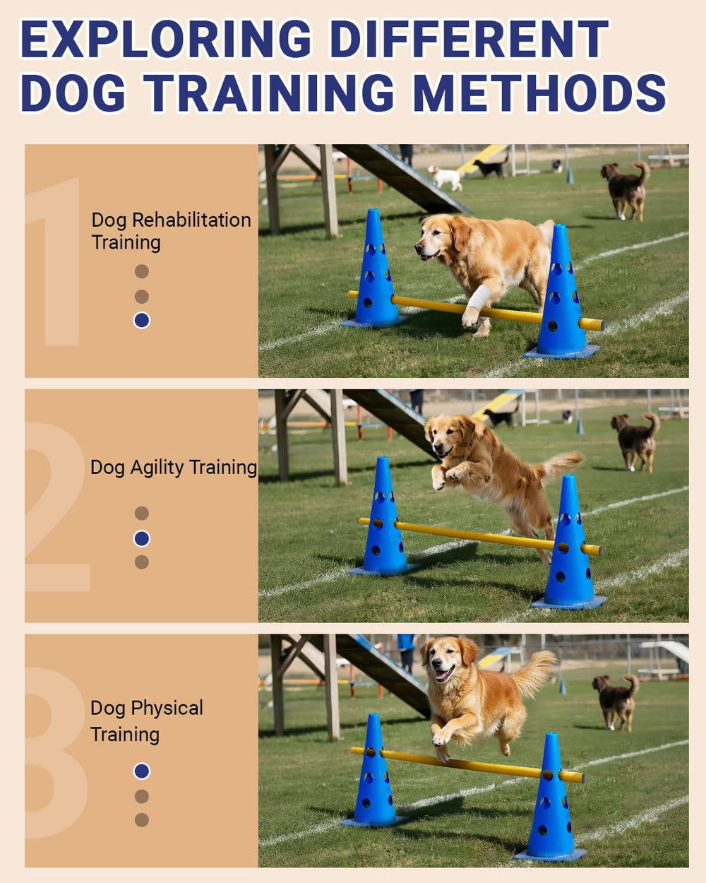 Lupar 12 cones nestable for compact storage after training.