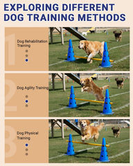 Lupar 12 cones nestable for compact storage after training.