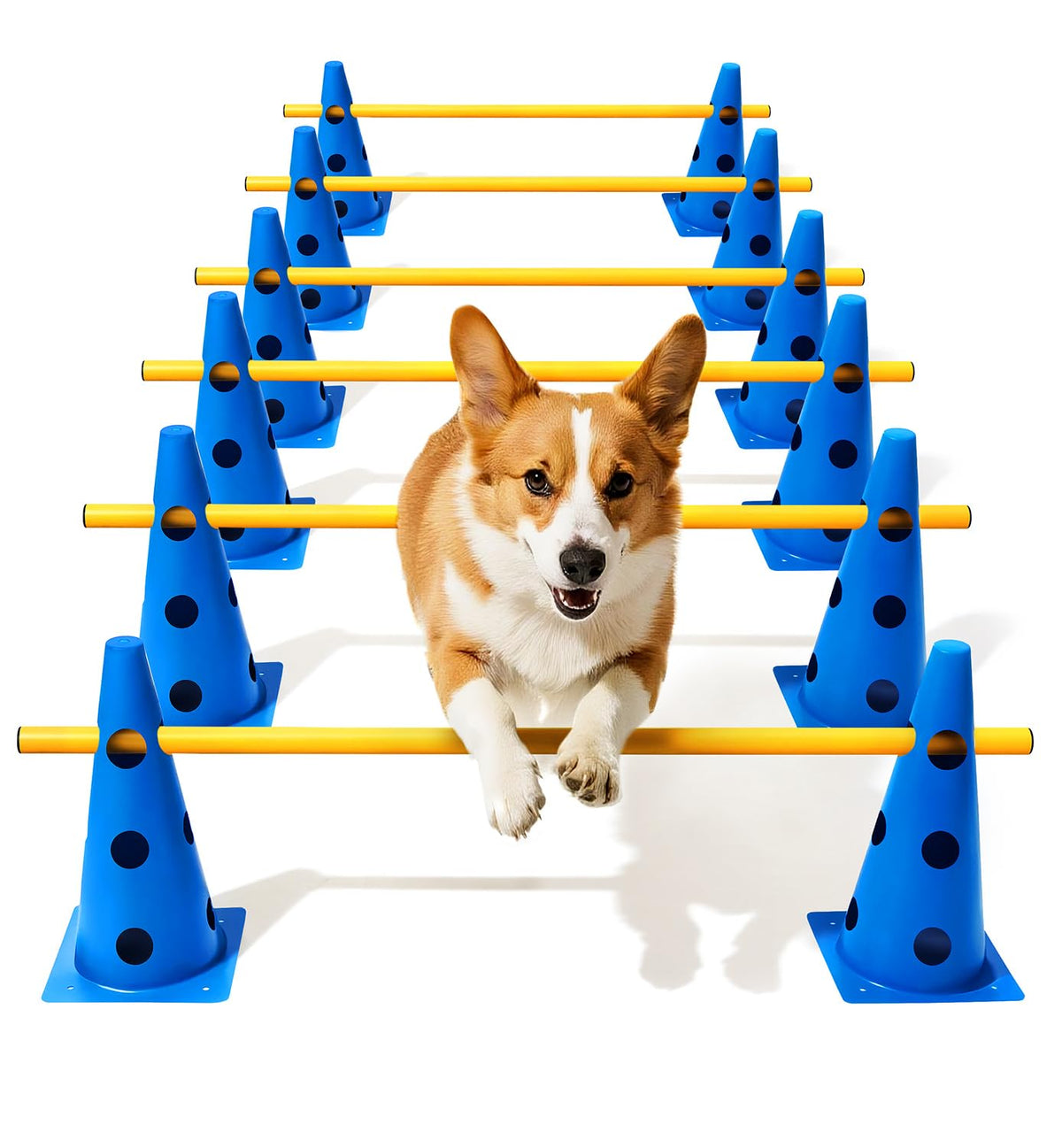 Lupar dog agility cones set enabling versatile backyard training sessions