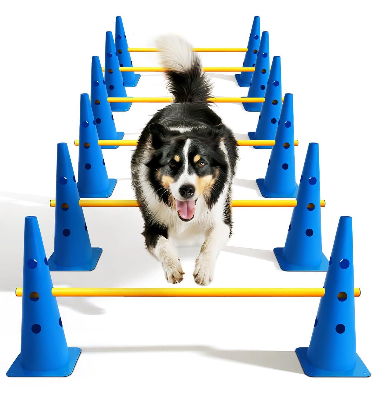 Lupar dog agility course backyard setup with 12 cones for active training.