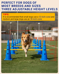 Lupar agility hurdle height adjustment demonstrates progressive jumping practice.