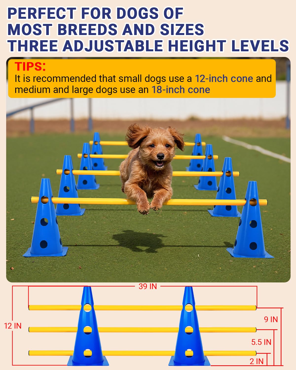 Lupar agility rods and crossbar with adjustable heights for varied drills