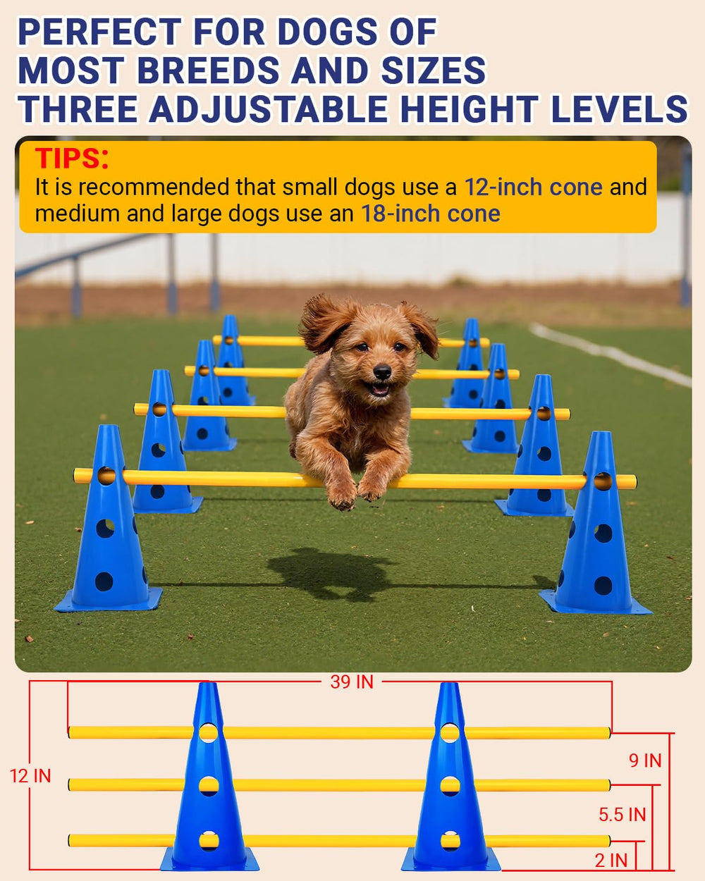 Lupar agility rods and crossbar with adjustable heights for varied drills