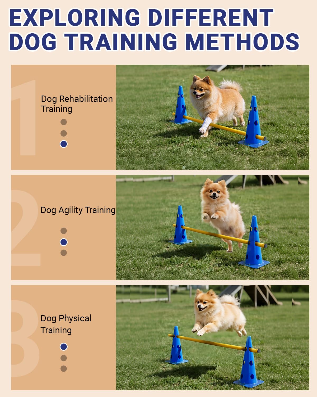 Lupar height-adjustable hurdle supporting three jump heights for all dogs