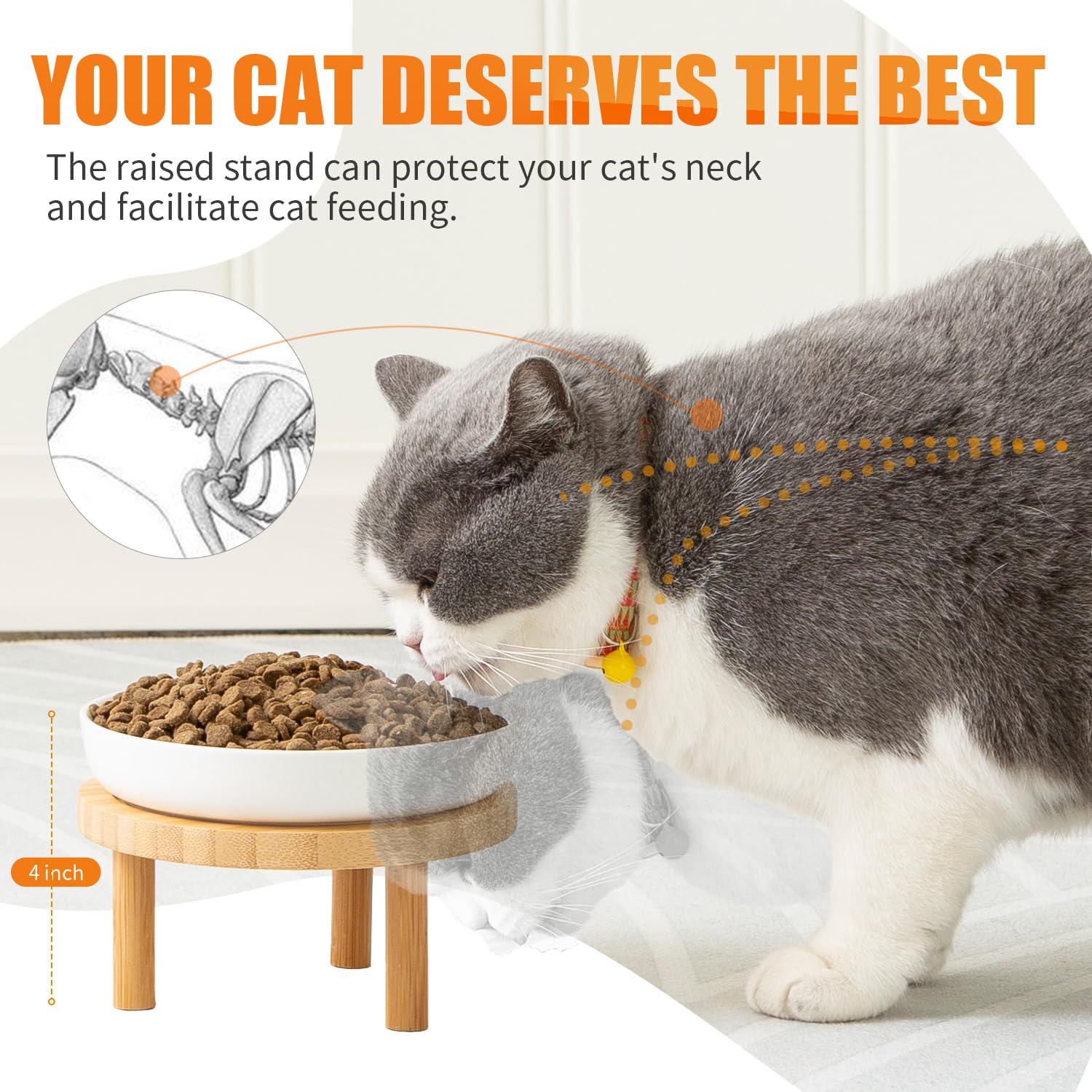 Lusifaco bamboo stand with ceramic bowls provides a sturdy, mess-reducing feeding station
