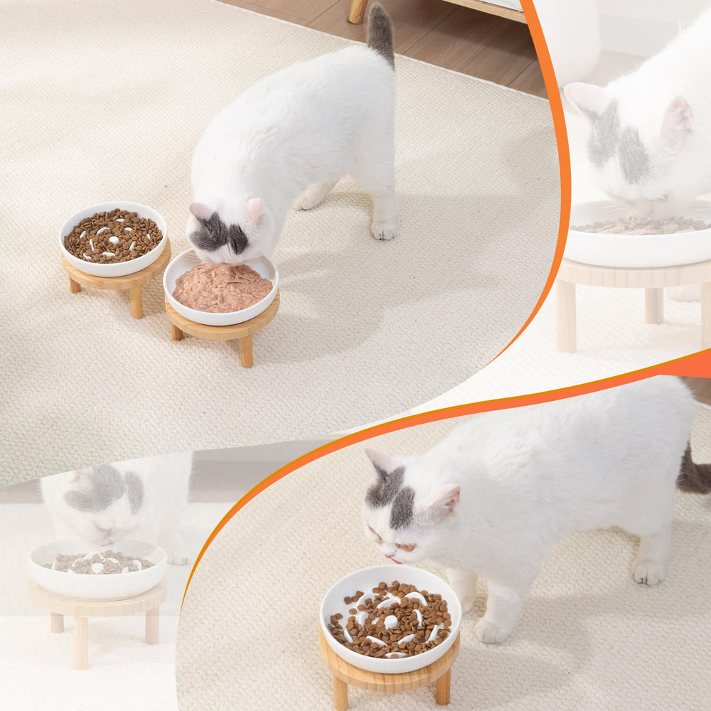 Lusifaco dishwasher-safe ceramic cat bowl simplifies cleanup.