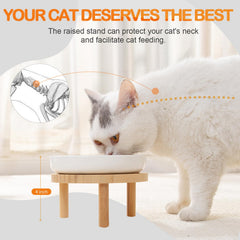 Lusifaco elevated ceramic cat dish on a sturdy stand prevents spills during feeding.
