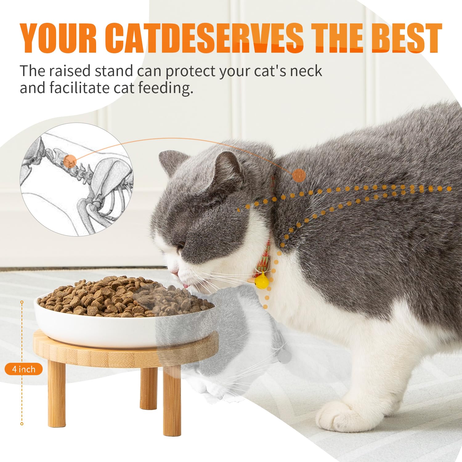 Lusifaco spacious mealtime design for kittens and indoor cats.