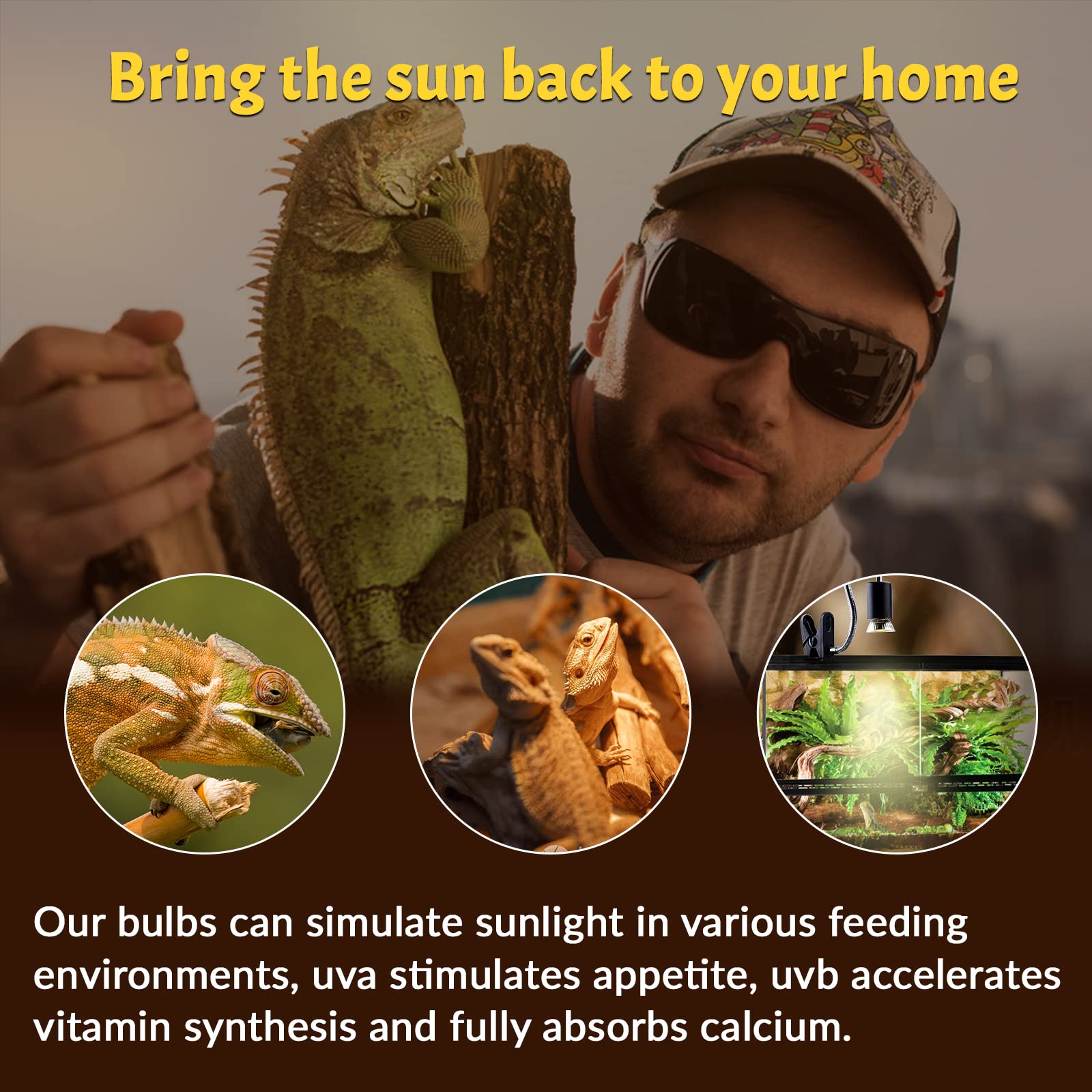 Lustaled 50W reptile heat lamp in use delivering steady basking warmth.