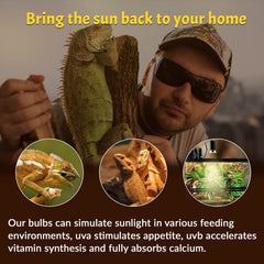 Lustaled 50W reptile heat lamp in use delivering steady basking warmth.