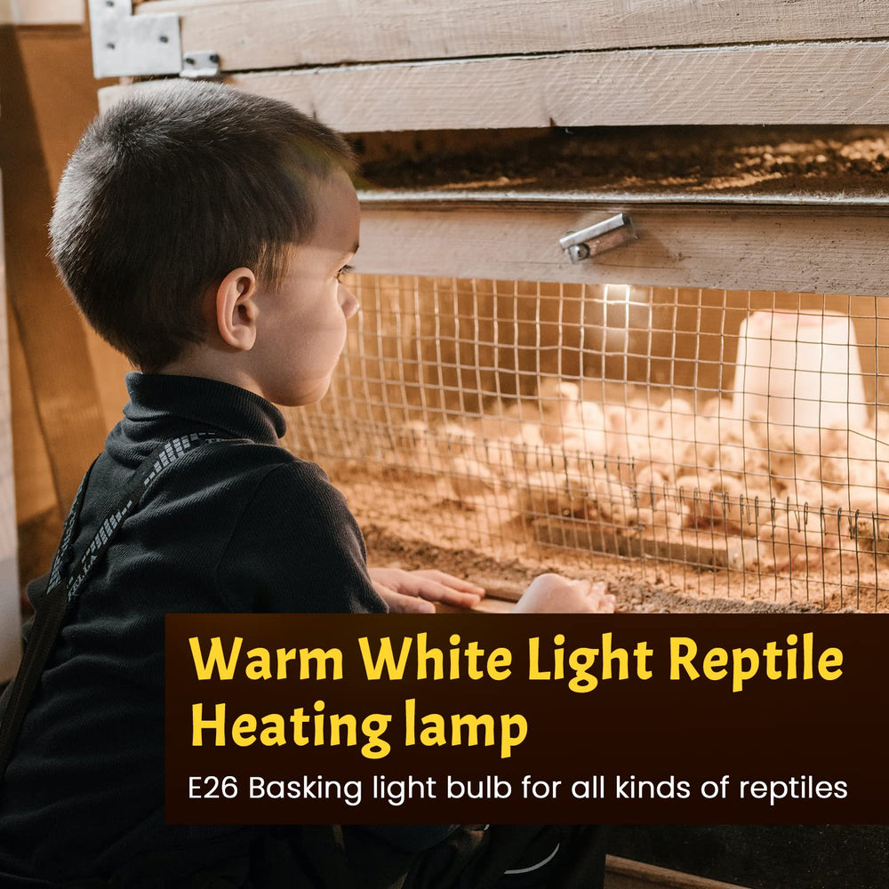 Lustaled E26 base compatibility demonstrates easy installation.