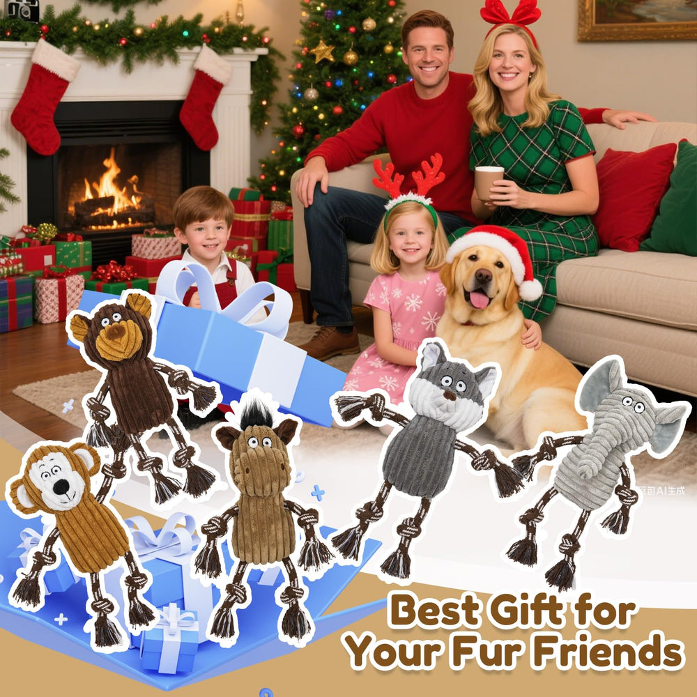 Luudoogs dog play session showcasing interactive enrichment.