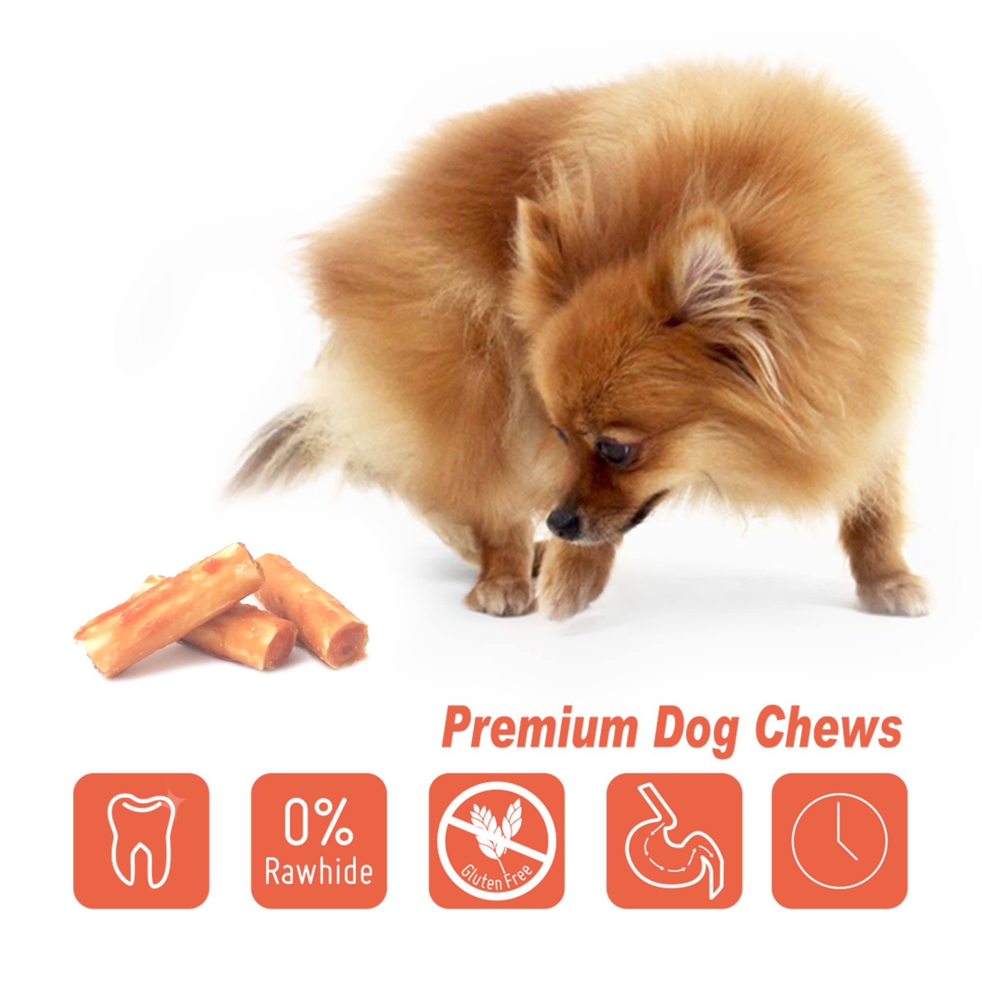 Small dog enjoying LuvChew mini chew bite-sized serving