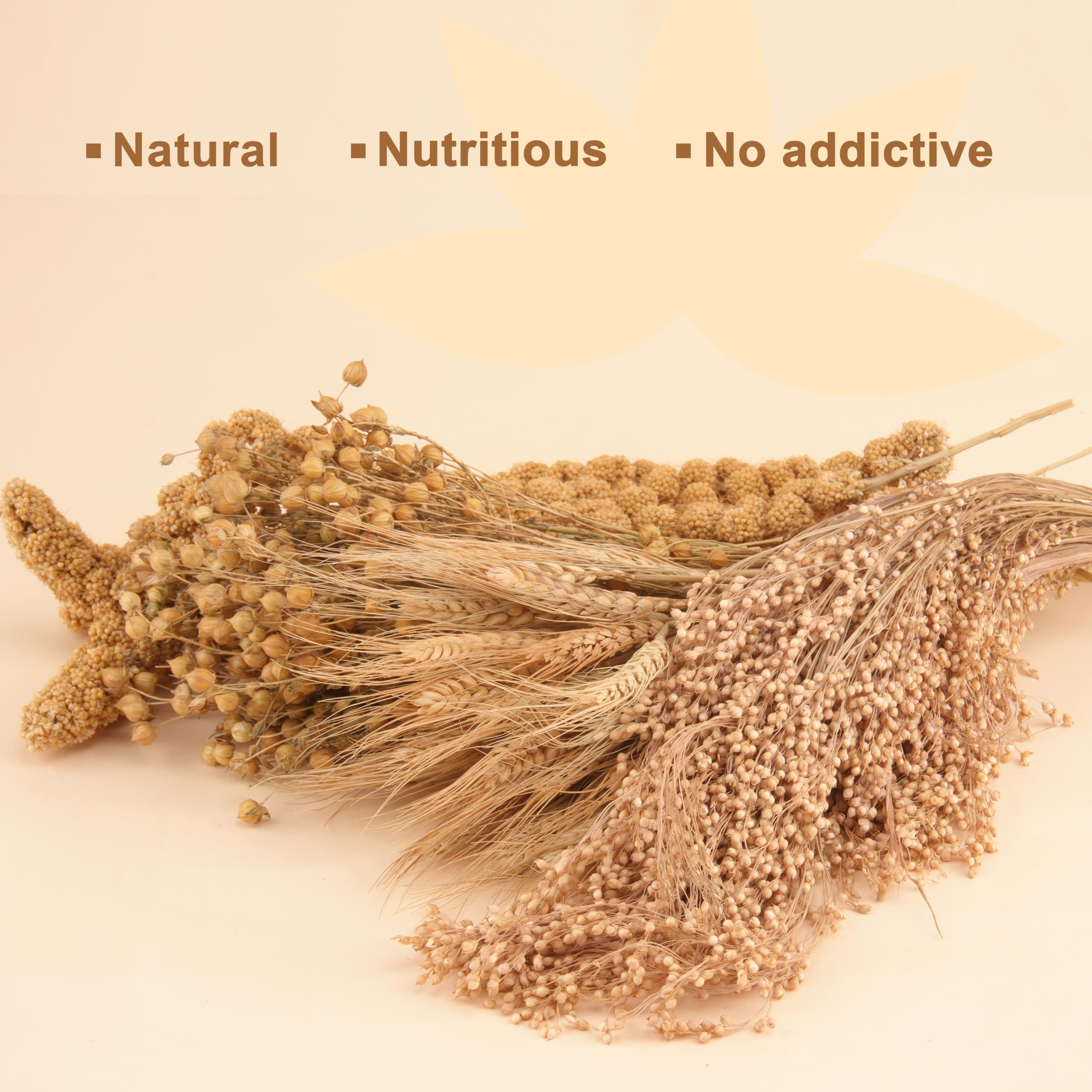 LUVCOSY hamster sprays panicle millet supports natural foraging behavior.