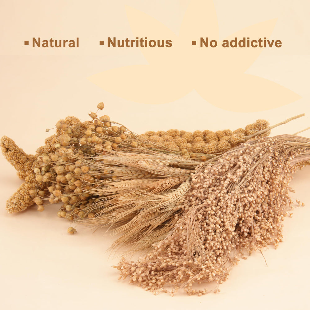 LUVCOSY hamster sprays panicle millet supports natural foraging behavior.