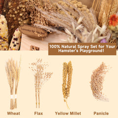 LUVCOSY hamster sprays yellow millet adds playful foraging textures.