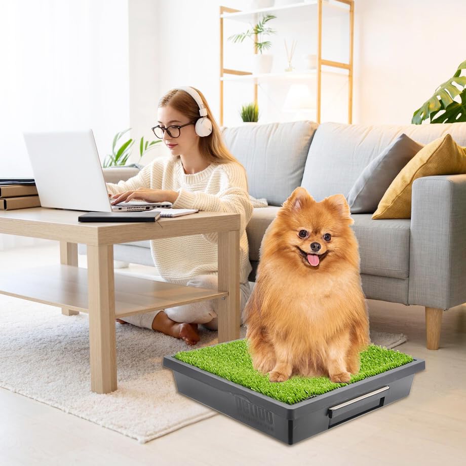 A convenient add-on for PetSafe Loo users seeking simple replacement refills.