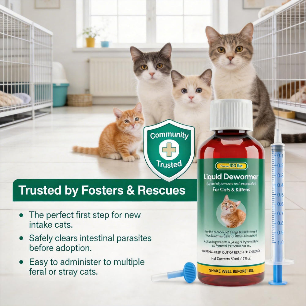 Luxekem nursing queen-friendly option for lactating cats.