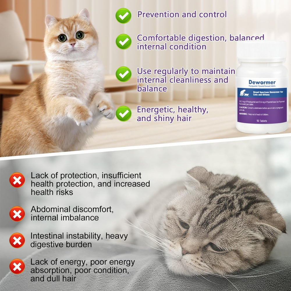 LuxeVib kitten-friendly dewormer usage during mealtime for kittens.