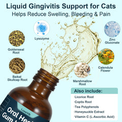 LuxeVib probiotic ingredients closeup indicating oral environment balance support.