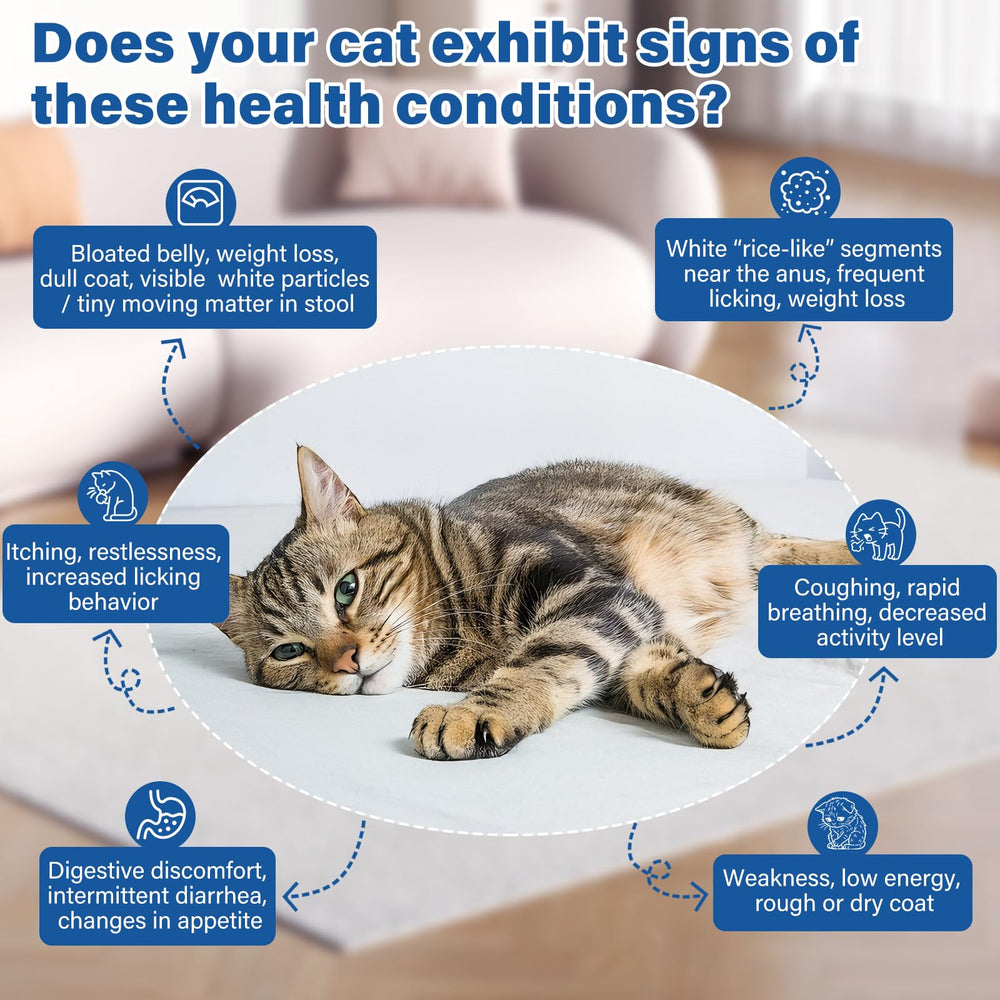 LuxeVib DEWORMER for Cats bottle cap closeup emphasizes secure storage guidance.
