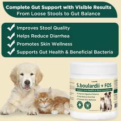 LuxeVib S boulardii FOS powder dosing scoop shown for easy daily feeding
