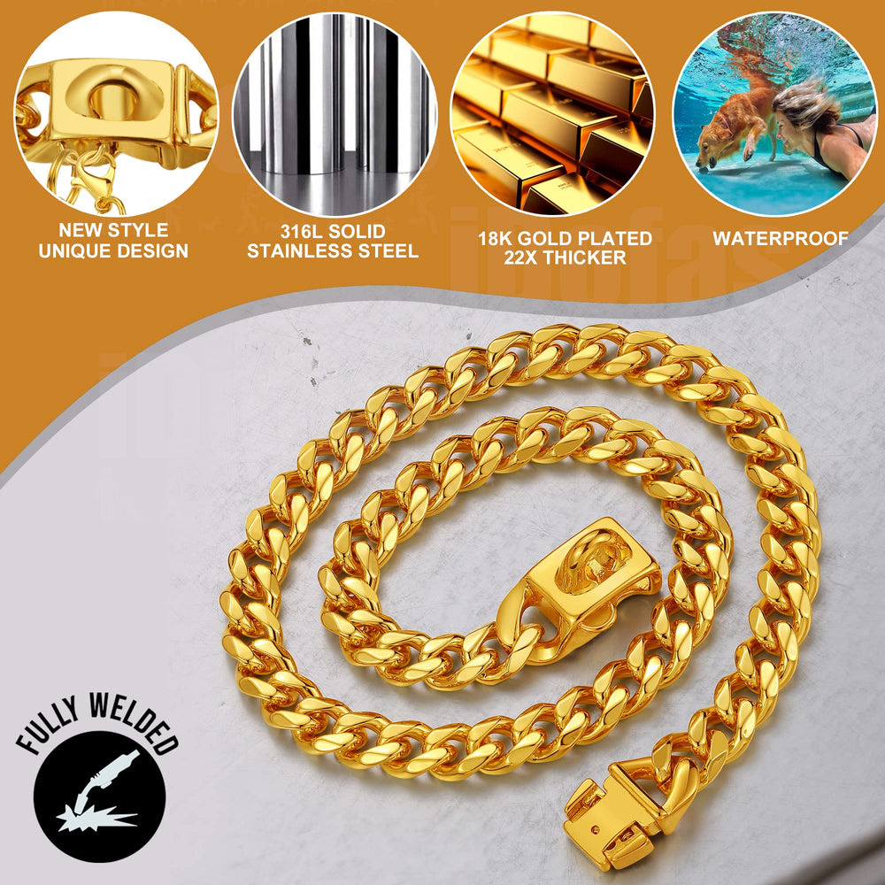 LuxLife gold Cuban-link collar worn by a dog shows bold style in everyday adventures and takes photos well
