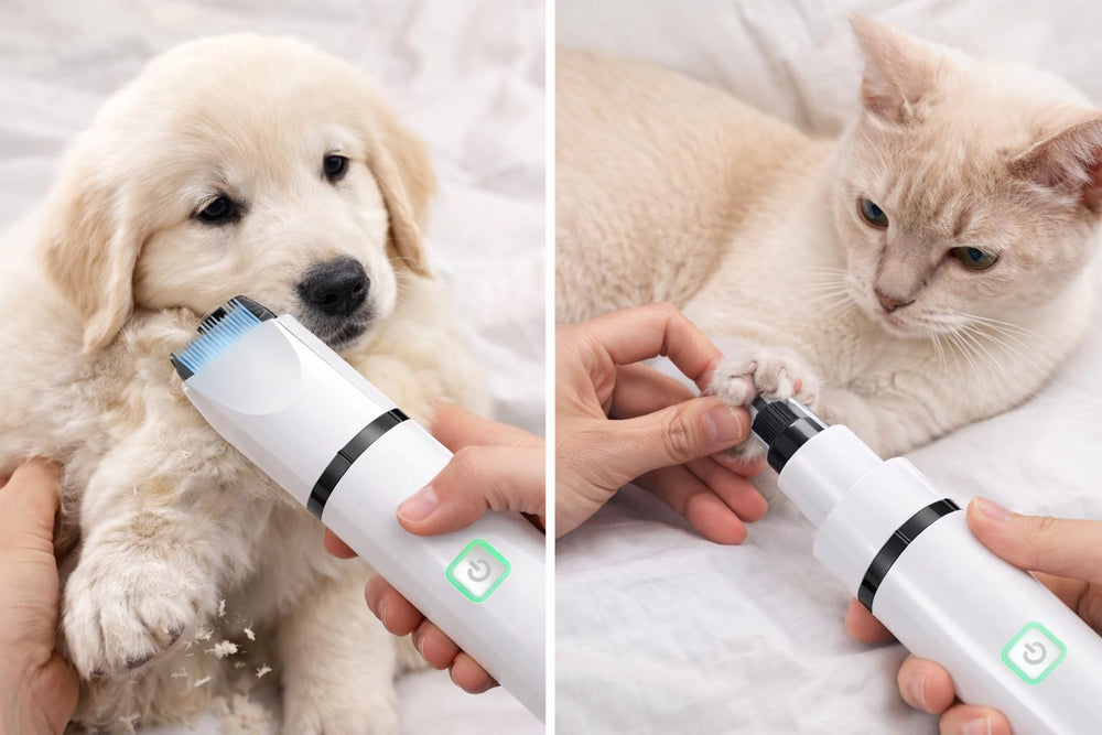Luxuz quiet low-vibration motor helps keep pets calm during grooming
