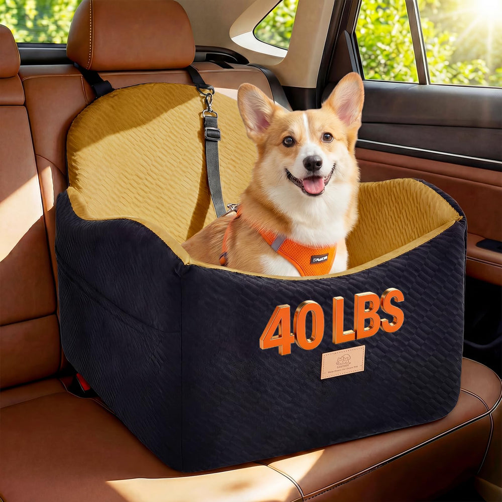 LUXYBEE dog car seat elevated-view shows small dogs enjoying scenery.