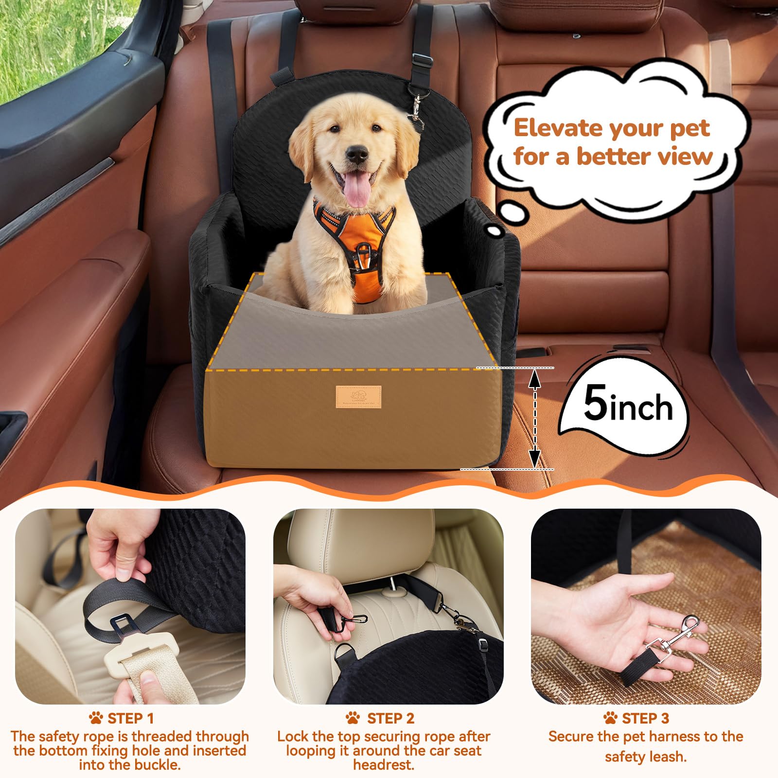 Elevated view helps dogs enjoy scenery while riding.