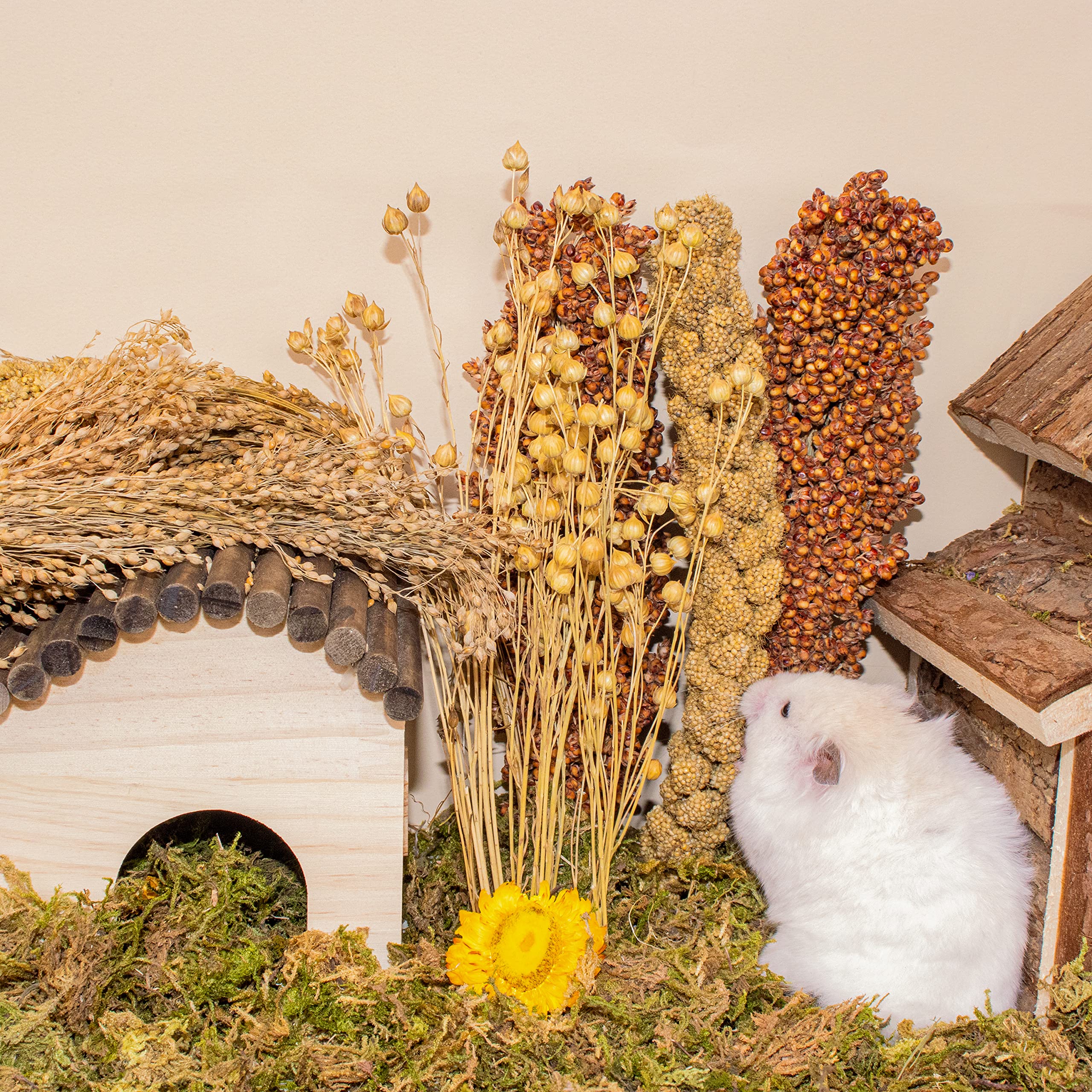 LUVCOSY Sprays Set – corn cob focus, exploration and slow foraging