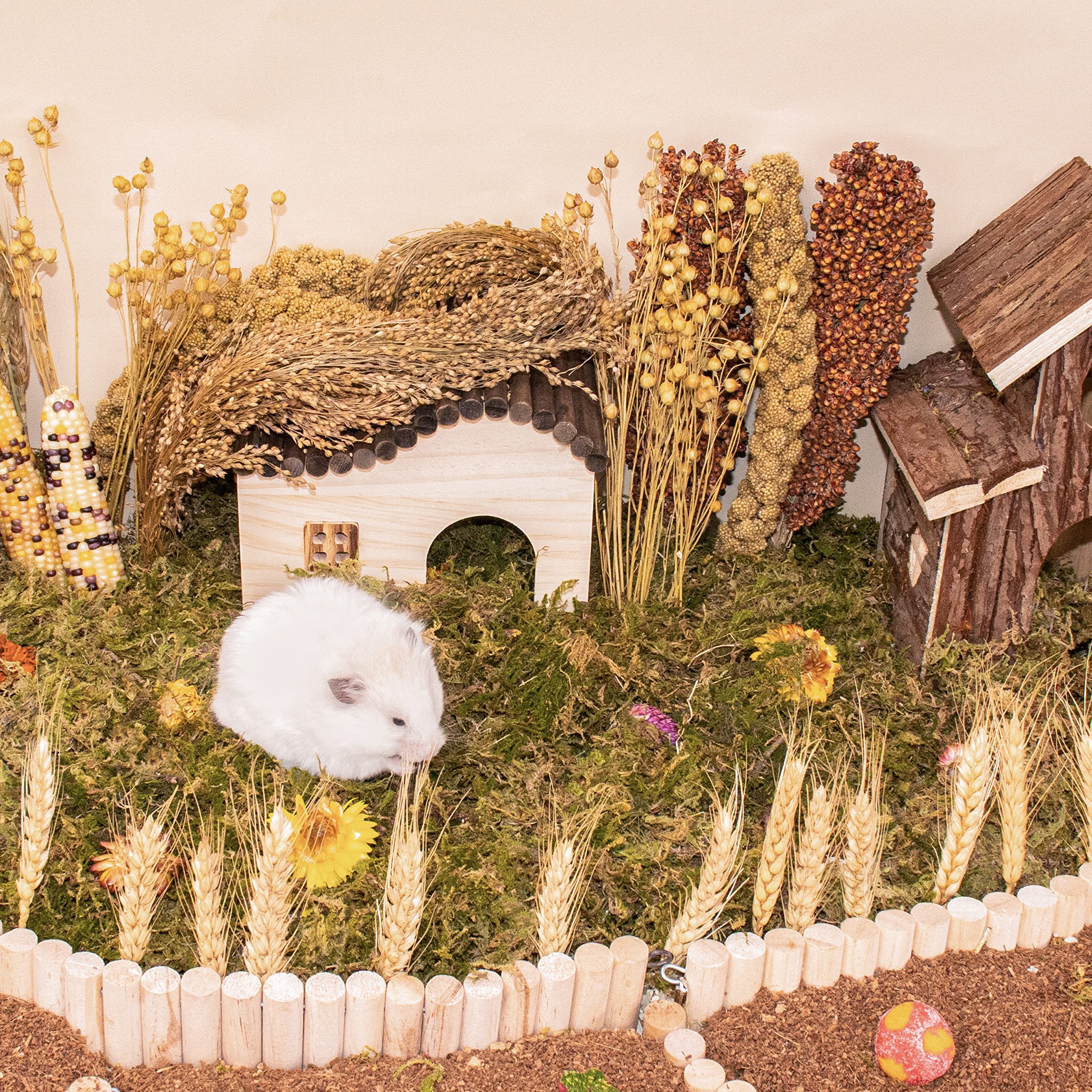 LUVCOSY Sprays Set – panicle millet focus, diverse chewing surfaces for nibbling fun