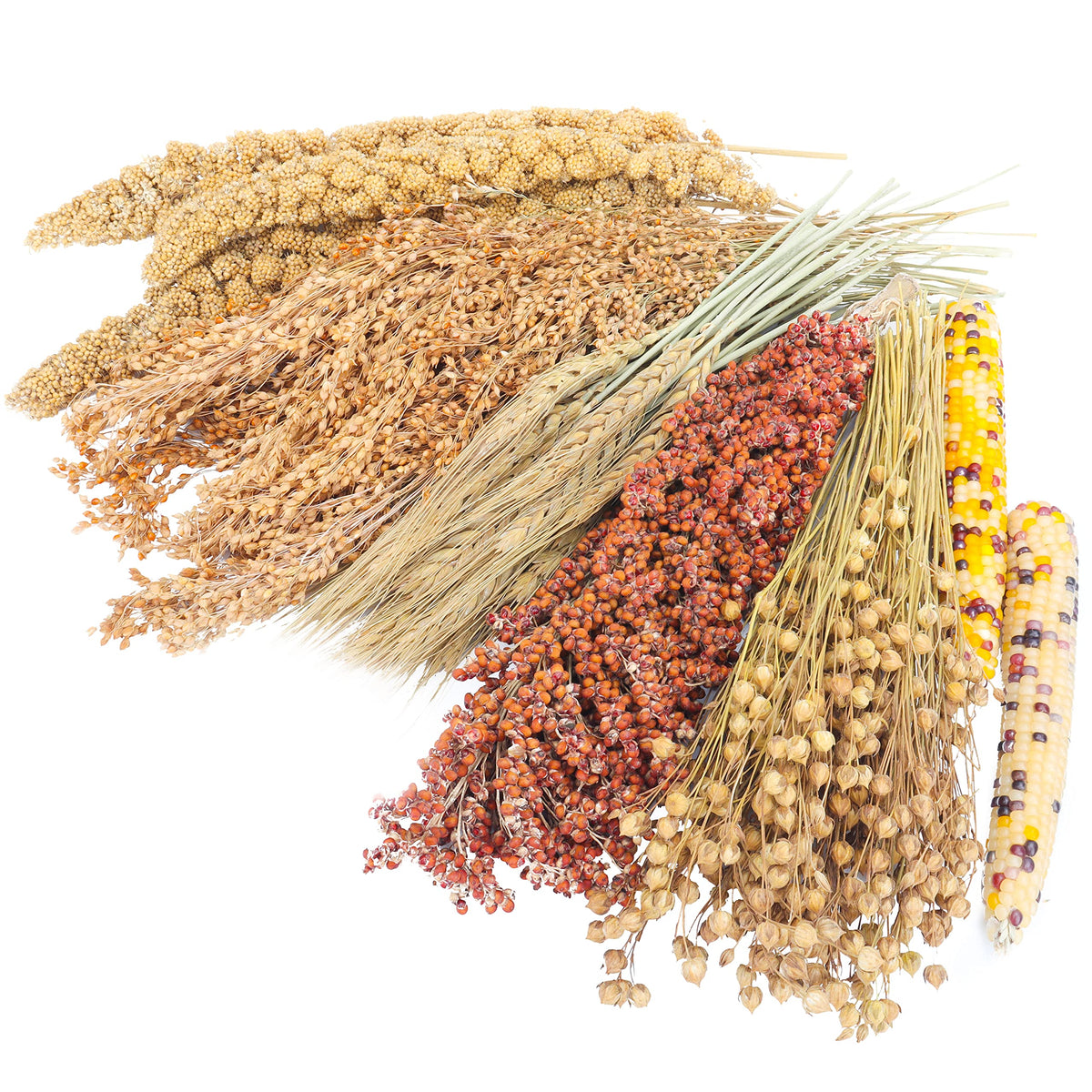 LUVCOSY Sprays Set – wheat focus, natural chew textures for small pets
